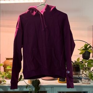 Champion Purple Hoodie